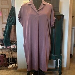 GAP Mauve Shirt Dress